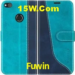 Recursos de Bônus Fuwin